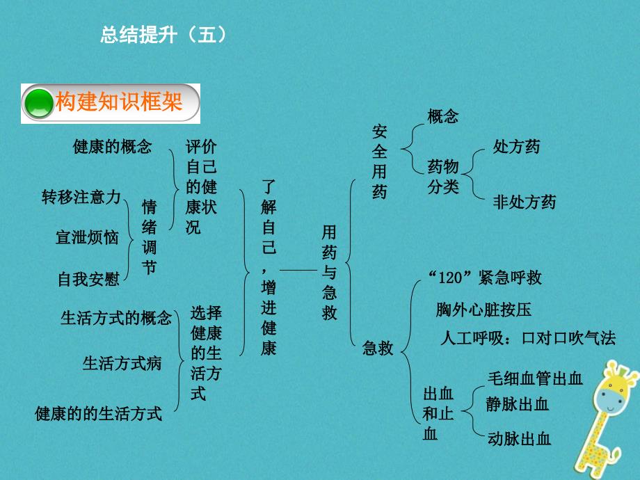 八级生物下册8.3了解自己增进健康总结提升五新.ppt_第3页