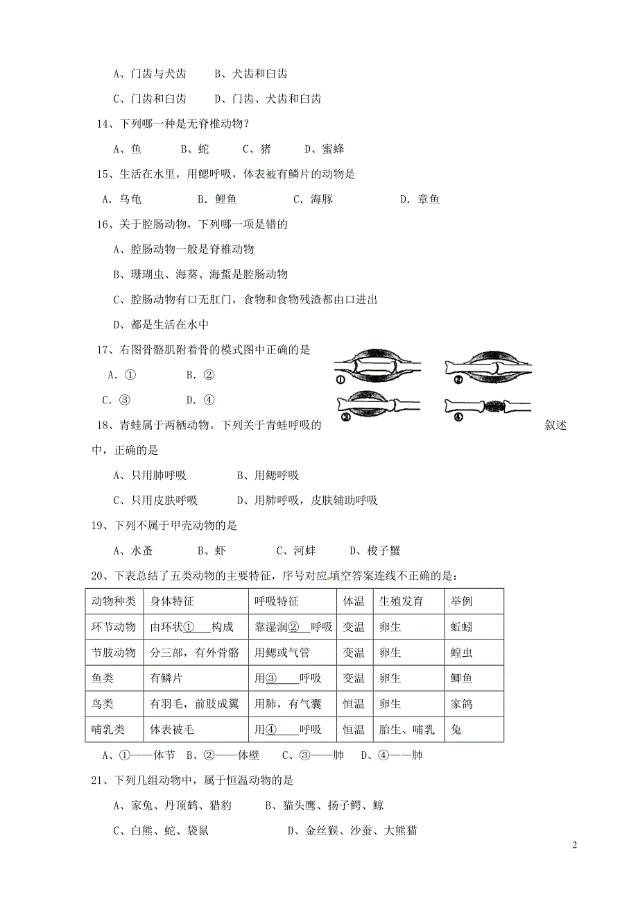 山东泰安八级生物第一学期期中学业水平测试 .doc_第2页