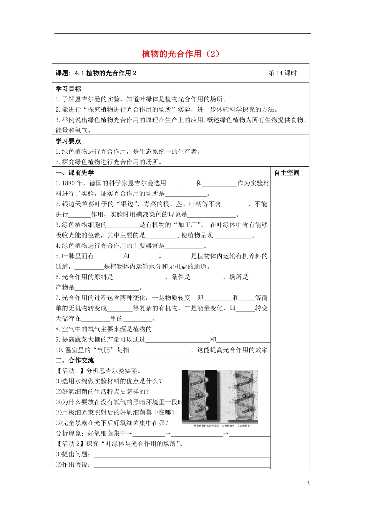 灌南实验中学七级生物上册3.4.1植物的光合作用学案2苏科.doc_第1页