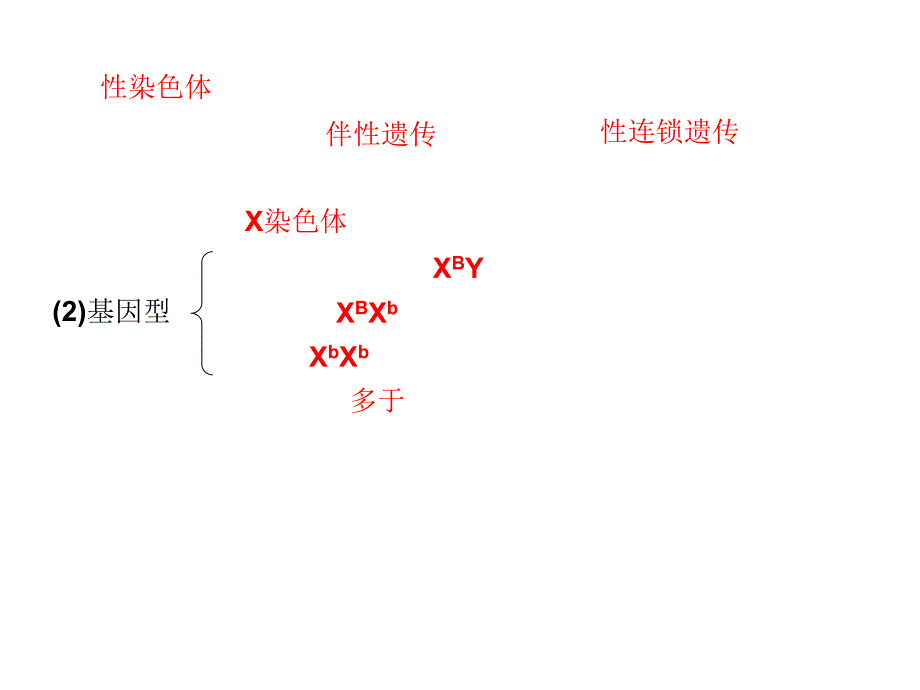 高三生物一轮复习第六单元第20课时性别决定和伴性遗传苏教.ppt_第5页