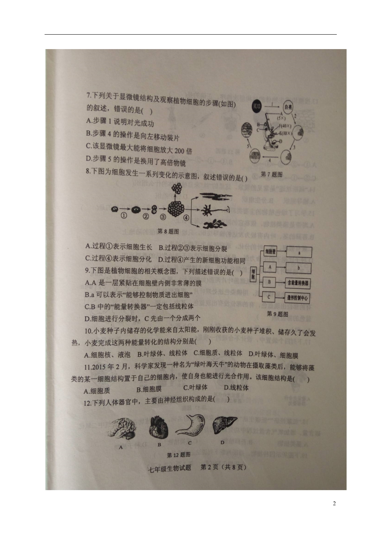 山东利津七级生物秋季学业水平检测五四制.doc_第2页