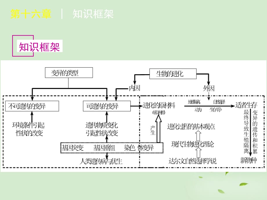 高考生物复习第44讲基因突变和基因重组大纲.ppt_第2页