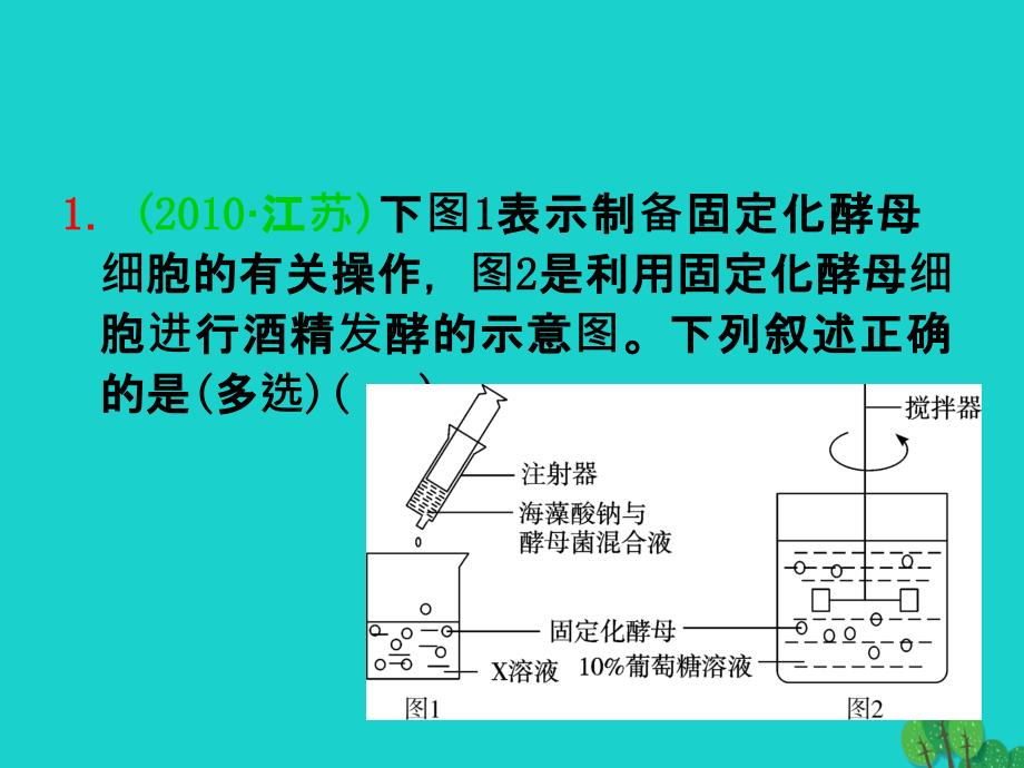 高三生物一轮复习第36讲酶的研究与应用选修1.ppt_第3页