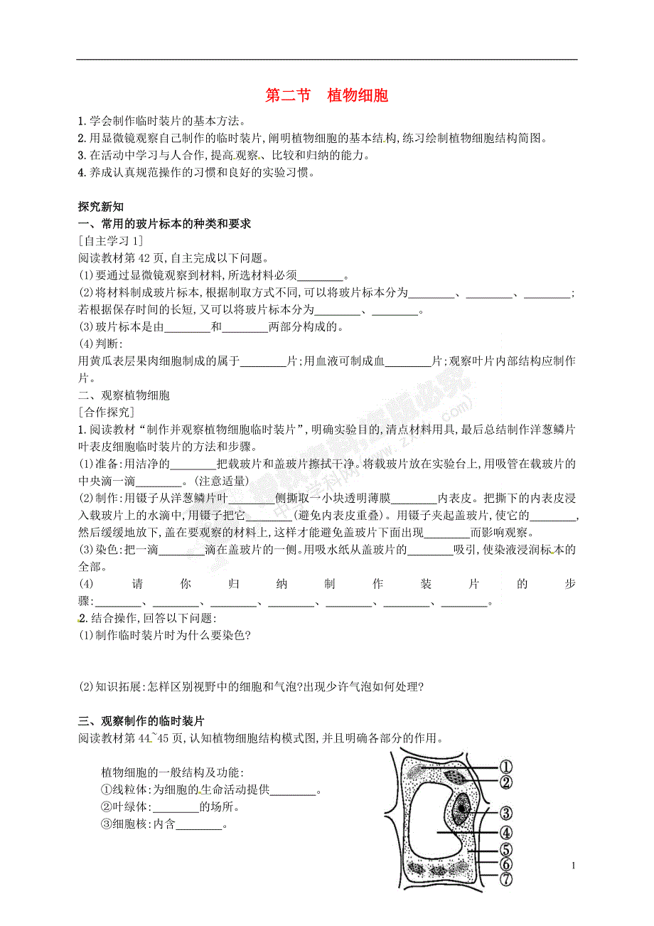 内蒙古满洲里市第五中学七年级生物上册2.1.2植物细胞学案（无答案）（新版）新人教版.doc_第1页