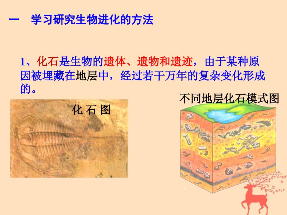 八级生物下册第六单元生物的繁衍和发展第三章生物的起源与进化6.3.2生物的进化新冀教 1.ppt_第4页