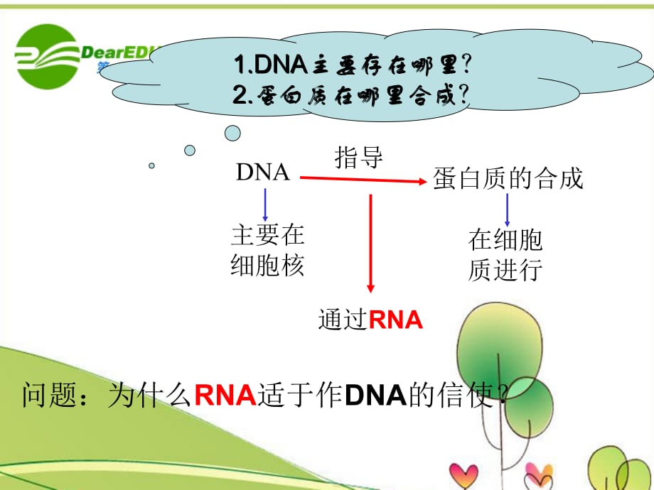 高中生物 基因指导蛋白质的合成 必修2.ppt_第4页