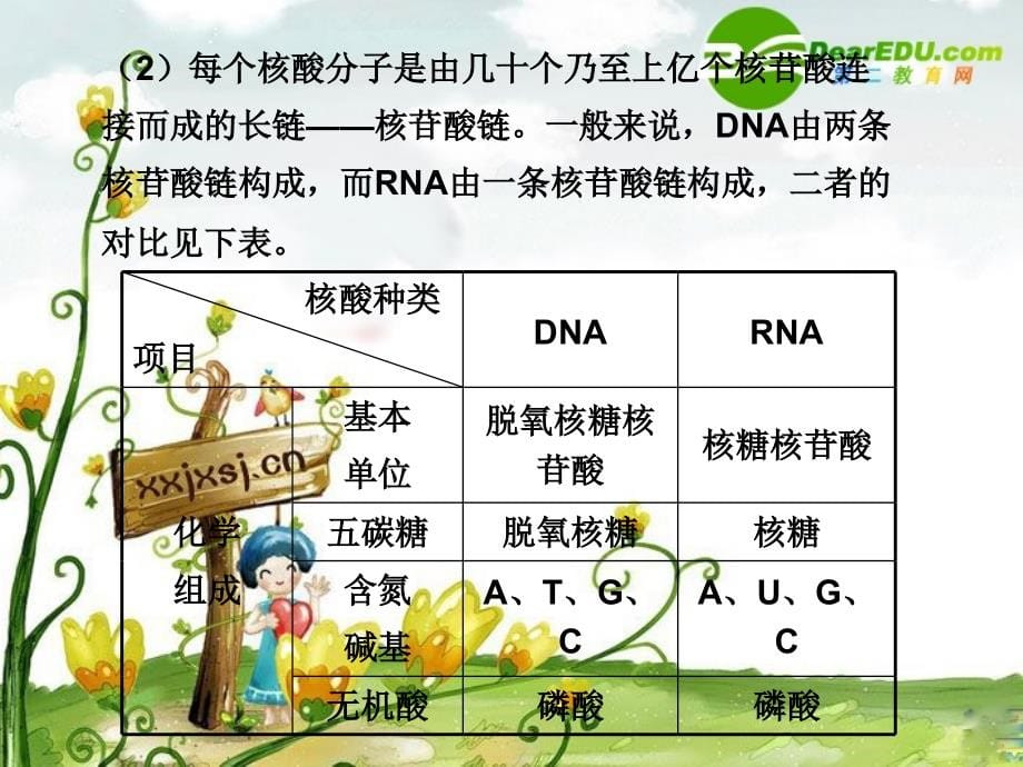 高三生物二轮复习：记牢原理规律.ppt_第5页