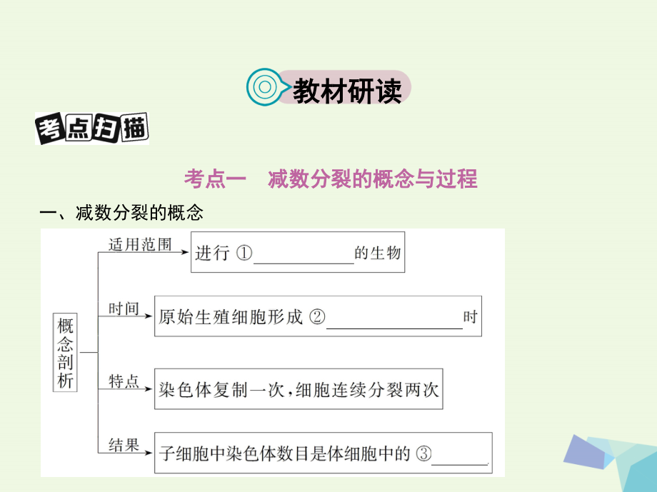 高考生物一轮复习遗传与进化第5单元遗传的细胞基础和分子基础第13讲遗传的细胞基础必修2 1.ppt_第2页