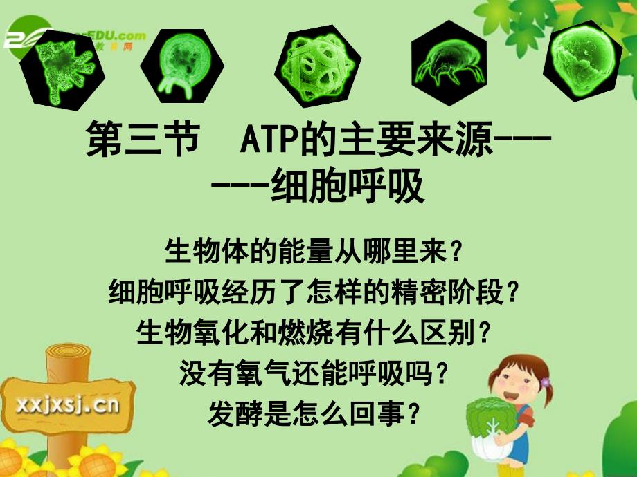 高中生物 5.3ATP的主要来源细胞呼吸 新人教必修1 .ppt_第1页