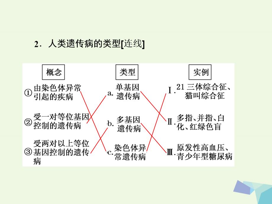 高中生物第5章基因突变及其他变异第3节人类遗传病必修2 1.ppt_第3页