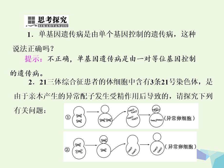 高中生物第5章基因突变及其他变异第3节人类遗传病必修2 1.ppt_第4页