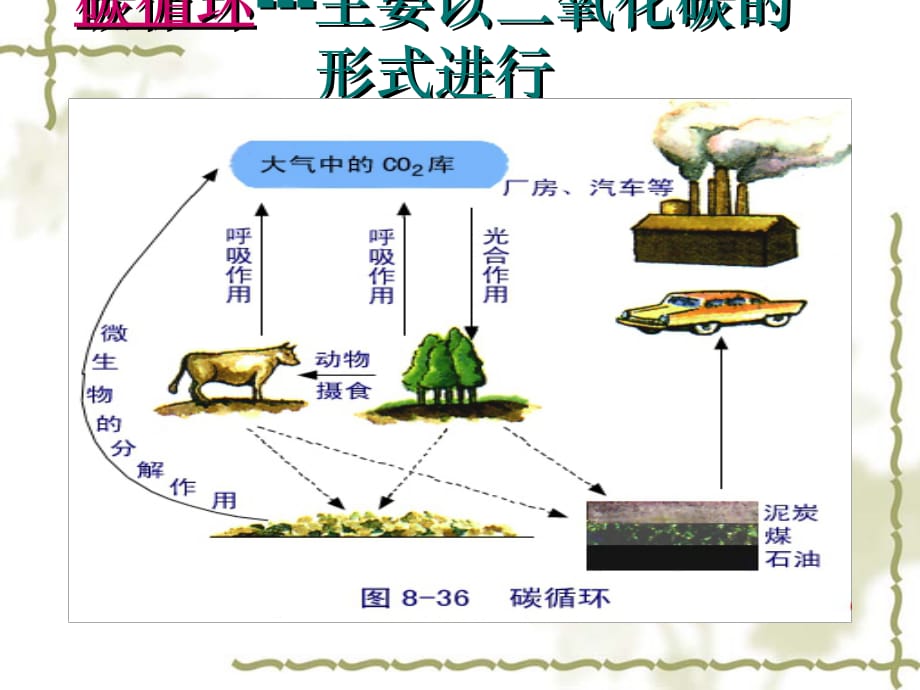 高三生物生态系统的物质循环.ppt_第3页