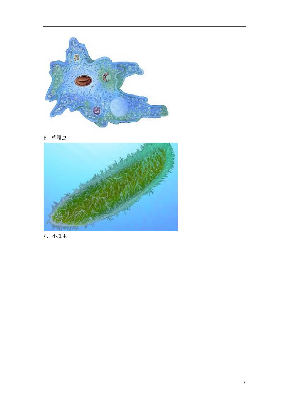 初中生物冲刺总复习 173.doc_第2页