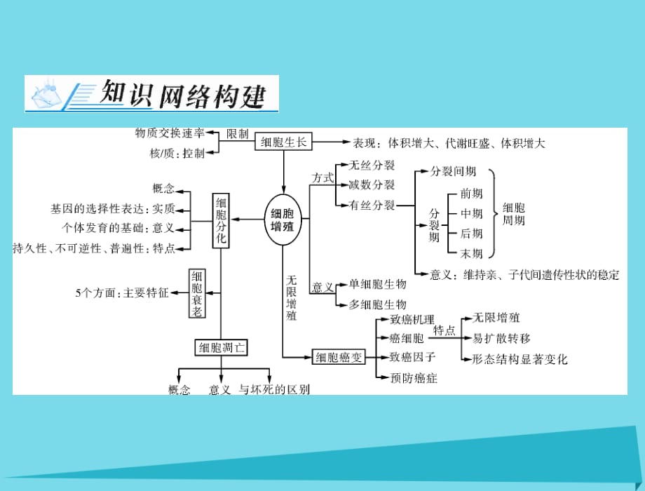 高考生物总复习第6章细胞的生命历程章末知识提升必修1.ppt_第2页