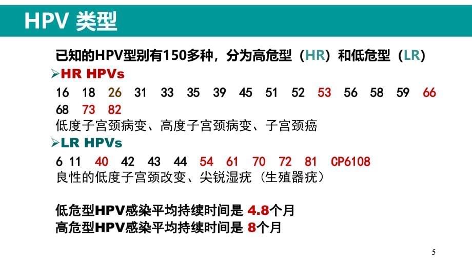 HPV感染与临床防治PPT参考幻灯片_第5页