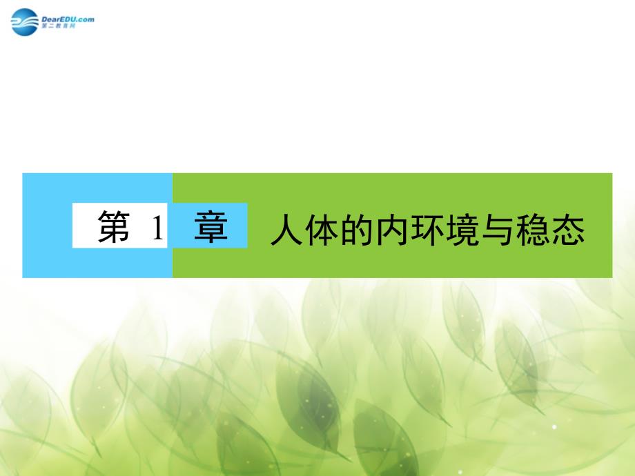 高中生物 第1章 人体的内环境与稳态章末高效整合 必修3.ppt_第1页