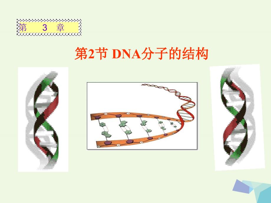 高中生物第三章基因的本质3.2DNA分子的结构必修2 1.ppt_第2页