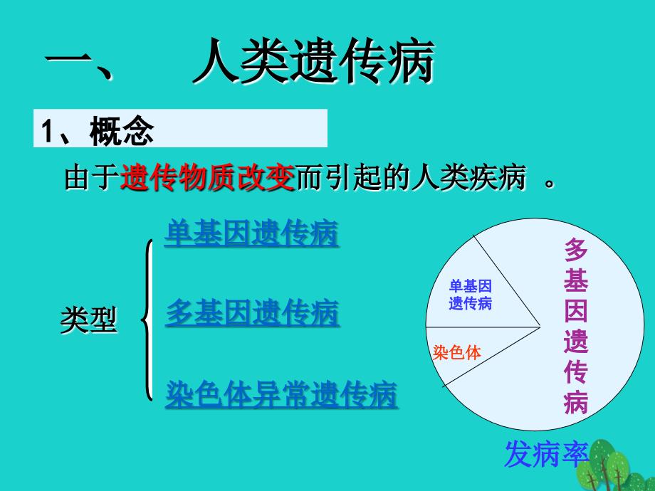 高中生物第五章基因突变及其他变异5.3人类遗传病必修2 1.ppt_第3页