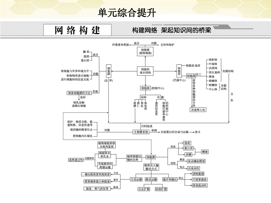 高考生物一轮复习 12单元综合提升细胞的基本结构和物质运输功能 .ppt_第1页