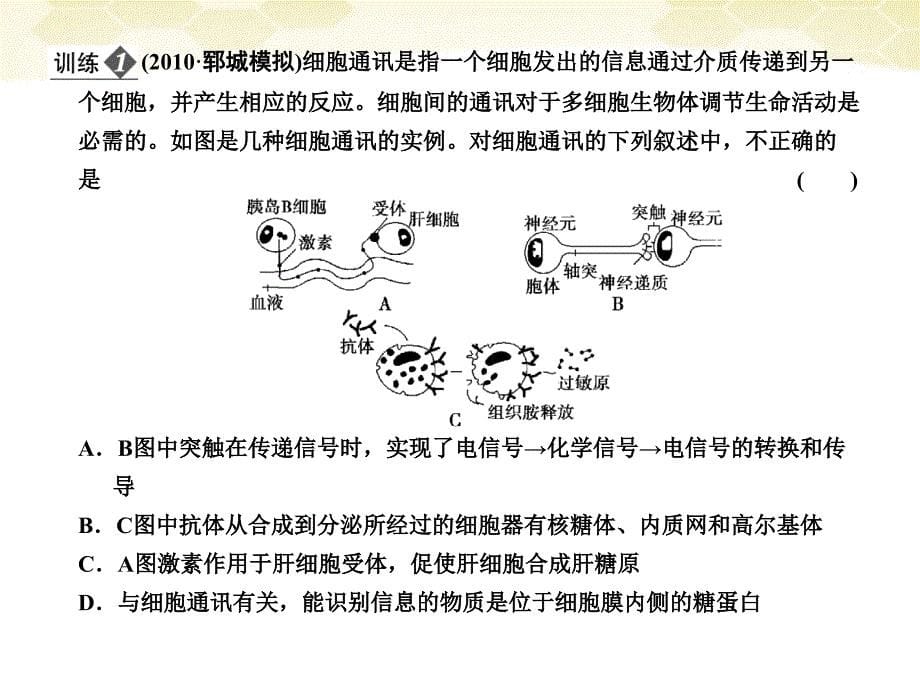 高考生物一轮复习 12单元综合提升细胞的基本结构和物质运输功能 .ppt_第5页