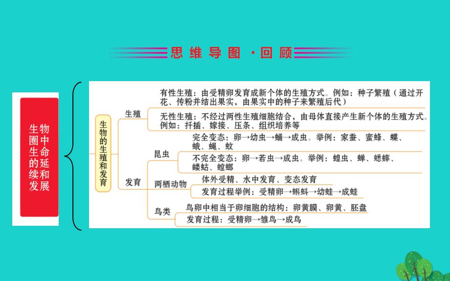 八级生物下册期末抢分必胜课第一部分主干知识速记第七单元生物圈中生命的延续和发展新 1.ppt_第2页