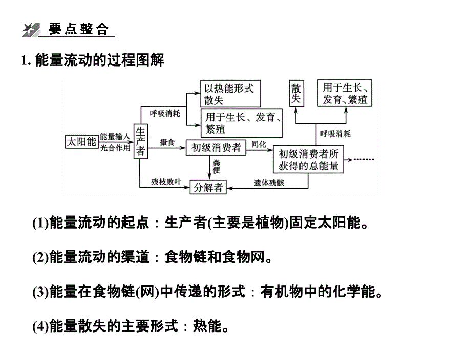 高考生物一轮复习 232生态系统的功能 中图选修1.ppt_第4页