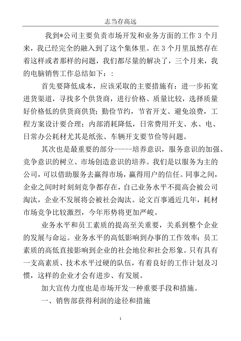 电脑销售工作小结..doc_第2页