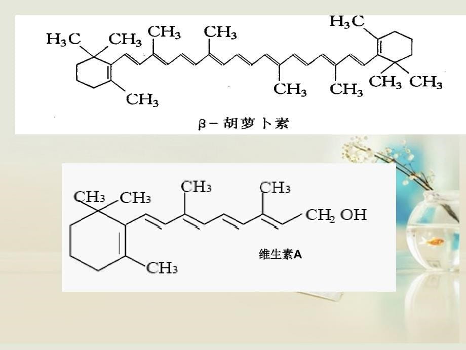 高中生物第六章 第二节 胡萝卜素的提取5 选修1.ppt_第5页