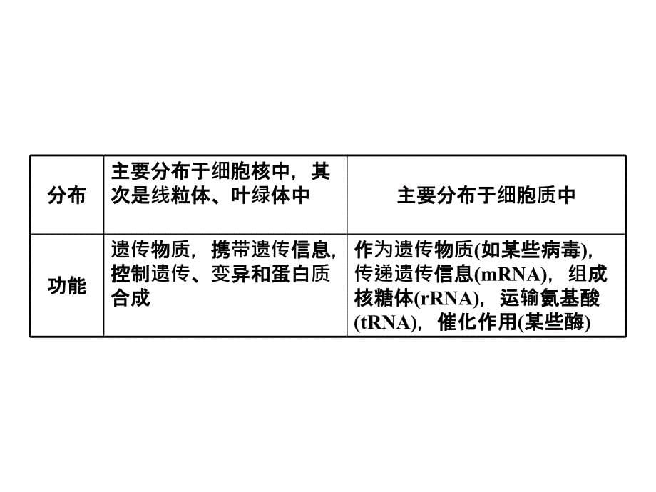 高考生物一轮复习 第2单元 22细胞中的核酸 中国必修1.ppt_第5页