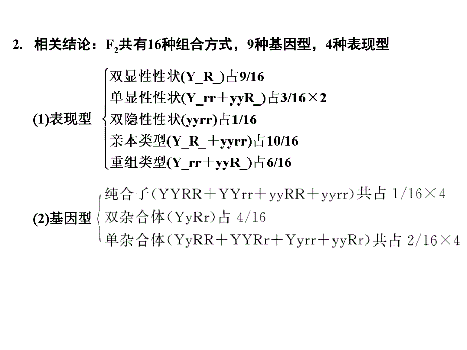 高考生物一轮复习 22 基因的自由组合规律 中图必修2.ppt_第4页