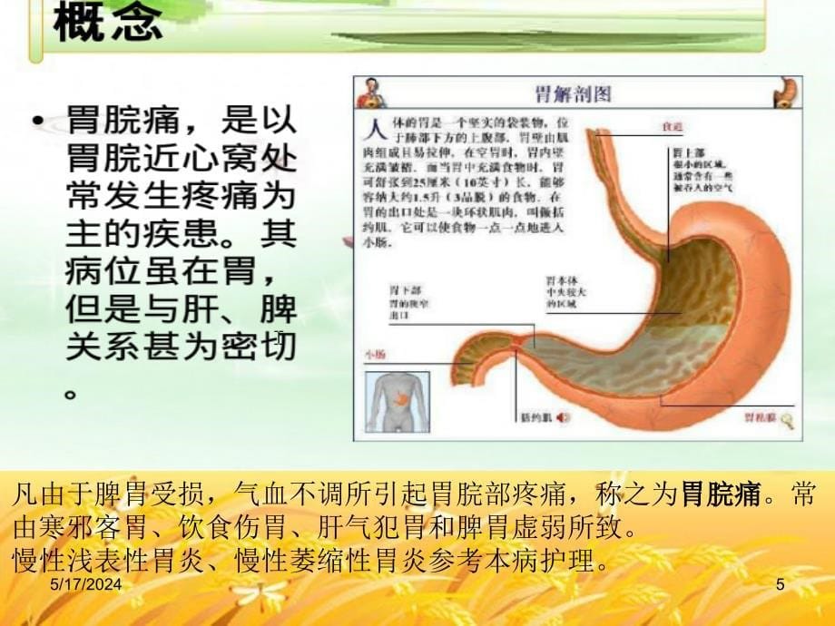 胃脘痛的辩证施护及护理查房PPT参考幻灯片_第5页