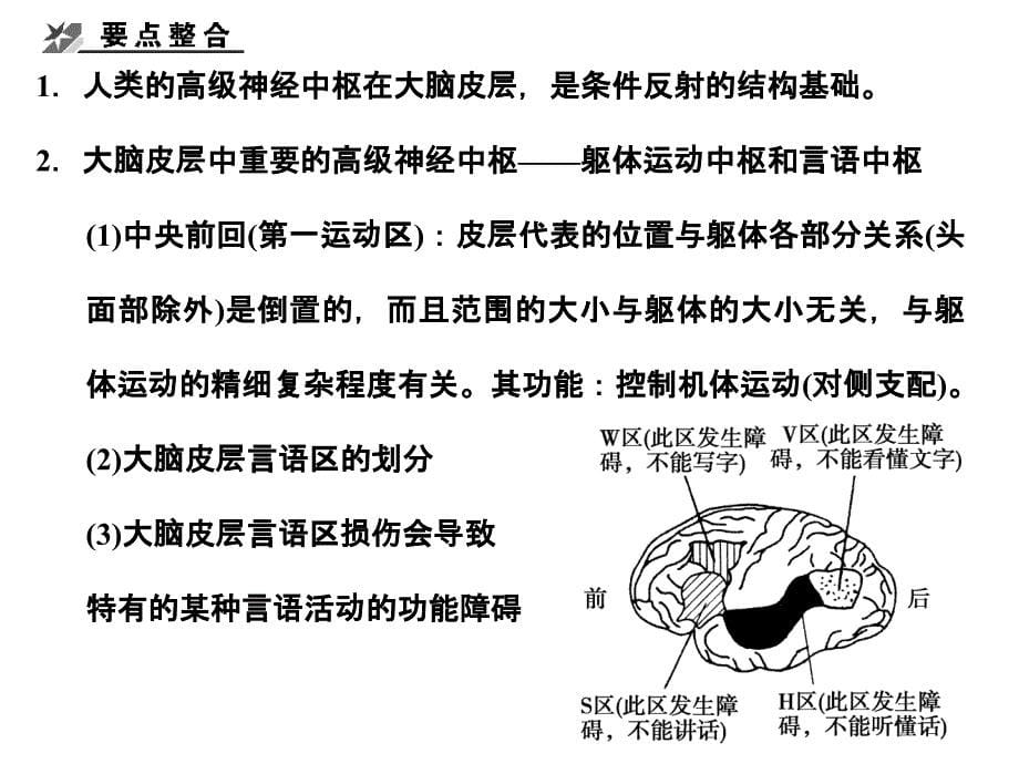 高考生物一轮复习 133、4 人脑的高级功能 体液调节在维持稳态中的作用 中图必修3.ppt_第5页