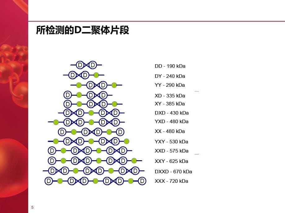 D-二聚体检测与应用PPT参考幻灯片_第5页