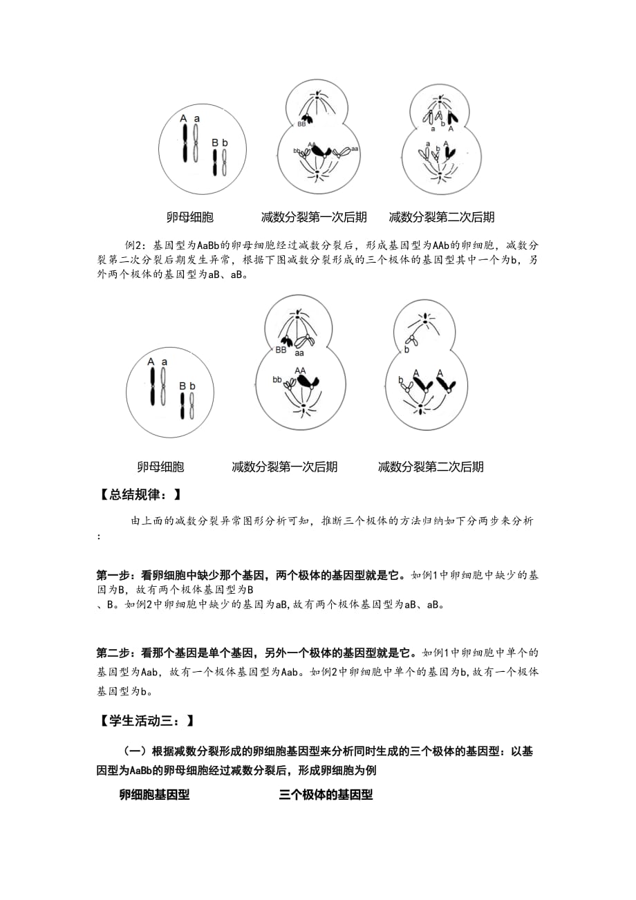 《减数分裂异常》教学设计_第3页