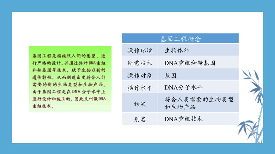 高二冲刺巩固--高二生物基因工程_第2页