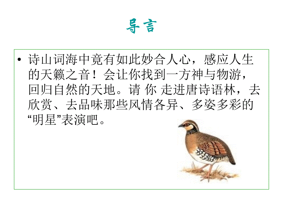 唐诗中有座鸟语林.ppt_第3页