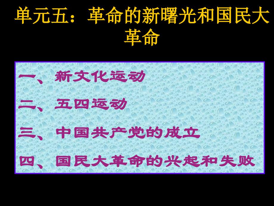 单元五：革命的新曙光和国民大革命.ppt_第4页