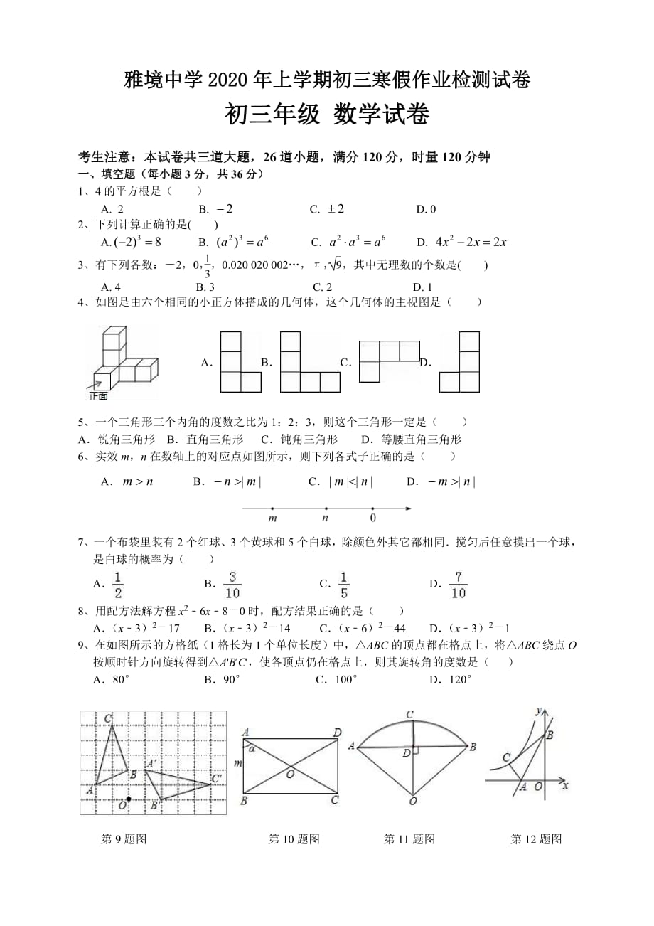 湖南省长沙市雅境中学2019-2020学年上学期初三寒假作业检测初三数学试卷_第1页