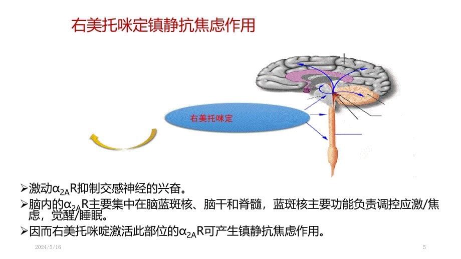 右美托咪定在麻醉中的应用PPT参考幻灯片_第5页