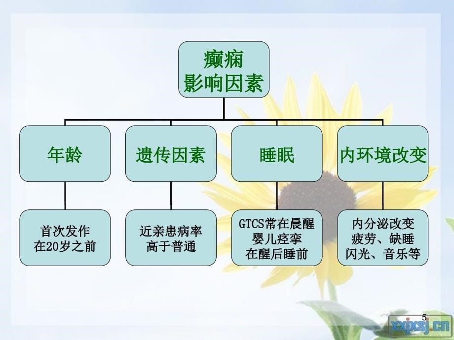 癫痫的护理查房PPT参考幻灯片_第5页