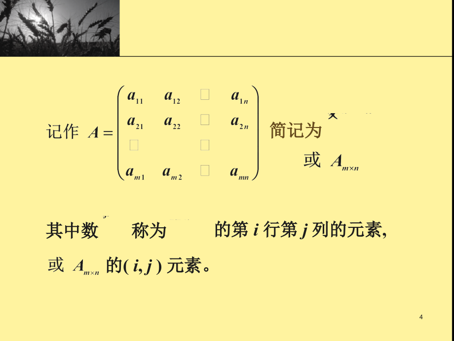 线性代数 同济大学课件 第二章_第4页