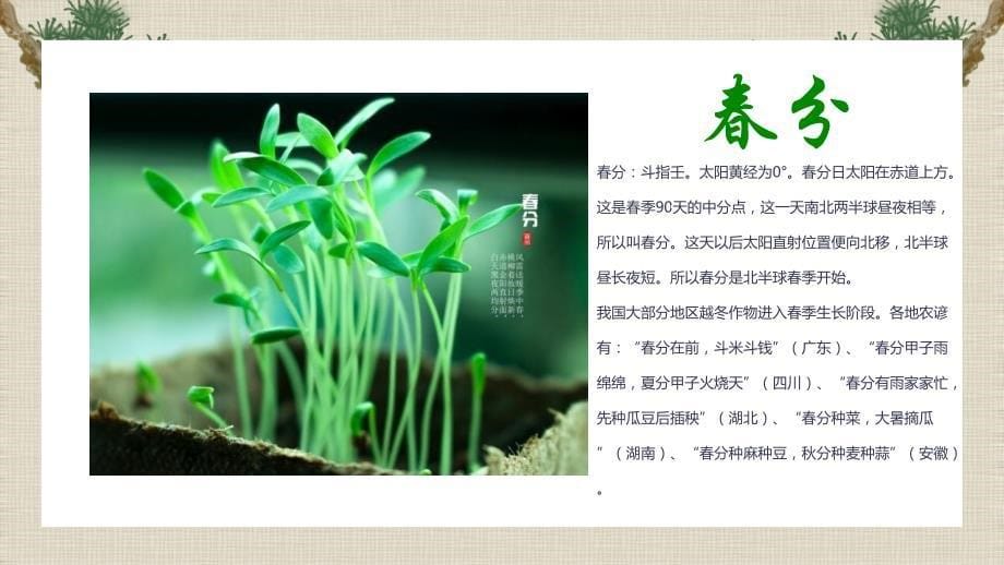 复古中国风传统二十四节气介绍PPT模板_第5页