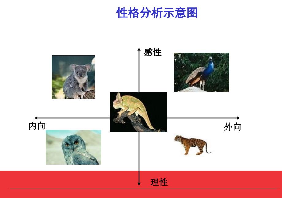 PDP性格分析讲解PPT课件.ppt_第3页