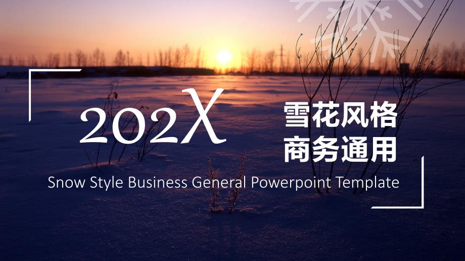 唯美202x雪花风格商务主题PPT模板_第1页