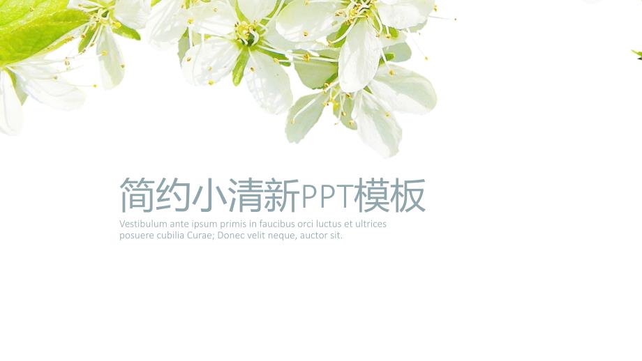 唯美简约小清新英文通用PPT模板_第1页