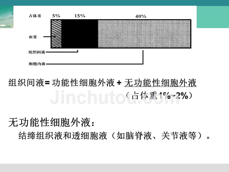 水、电解质及酸碱平衡失调护理知识PPT课件_第2页