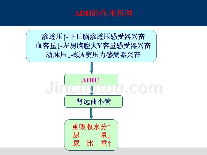 水、电解质及酸碱平衡失调护理知识PPT课件_第5页