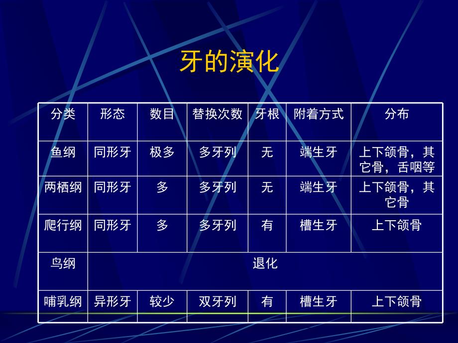 牙体解剖生理知识PPT课件_第2页