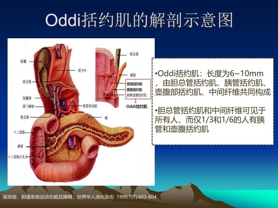 解痉药在胆道痉挛相关性疾病治疗中的应用知识PPT课件_第5页