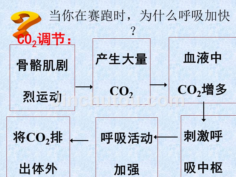 福外必修三课件：2.3-神经调节与体液调节的关系-(共64张)上课讲义_第4页